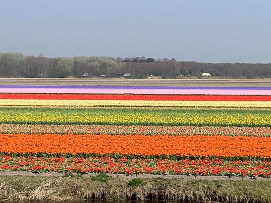 The Netherlands (also known as Holland)