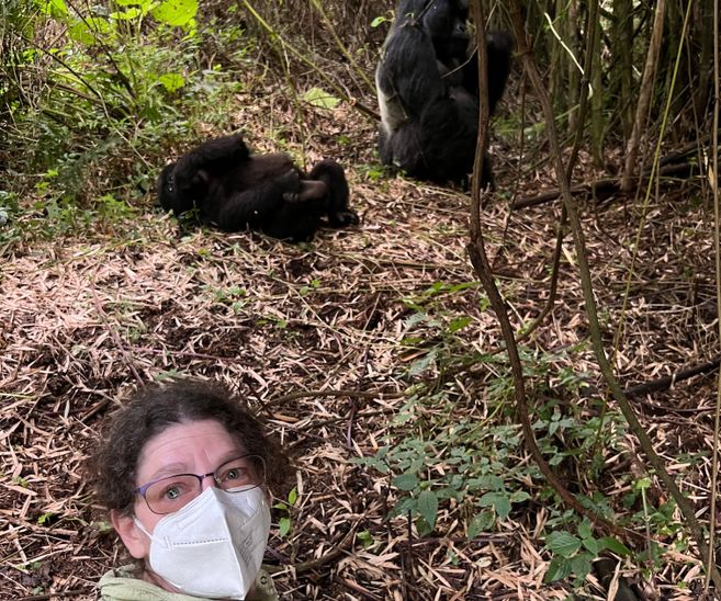 Witnessing wild gorillas first hand!