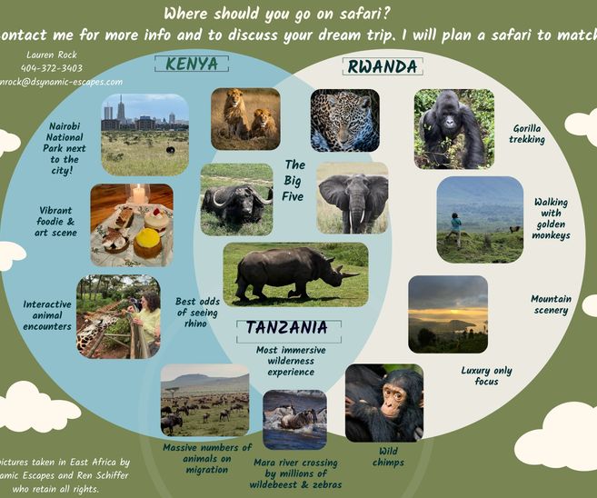 Where should you  go on safari?